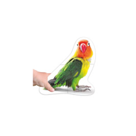 MAXI Puzzles Animaux
